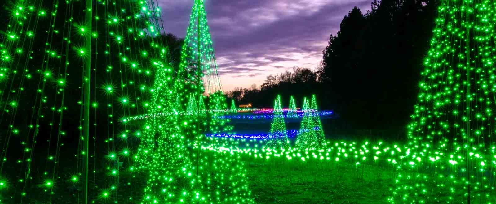Trees and walkways covered in beautiful holiday lights.